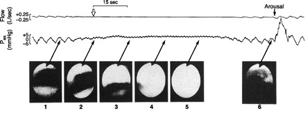 Fig. 5.