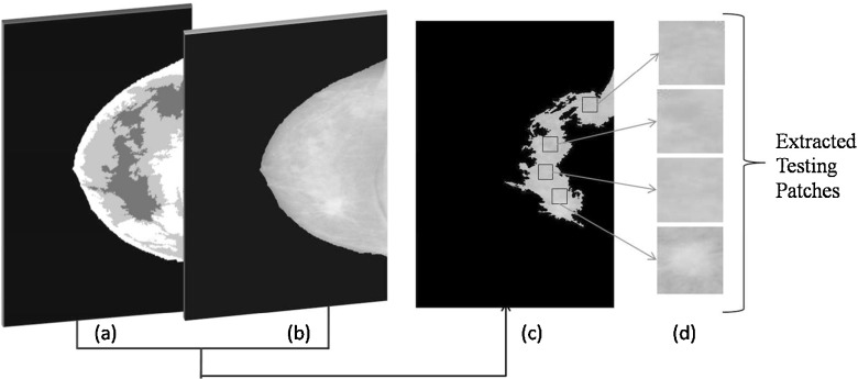 Fig. 8