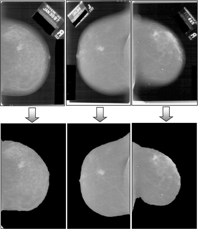 Fig. 5