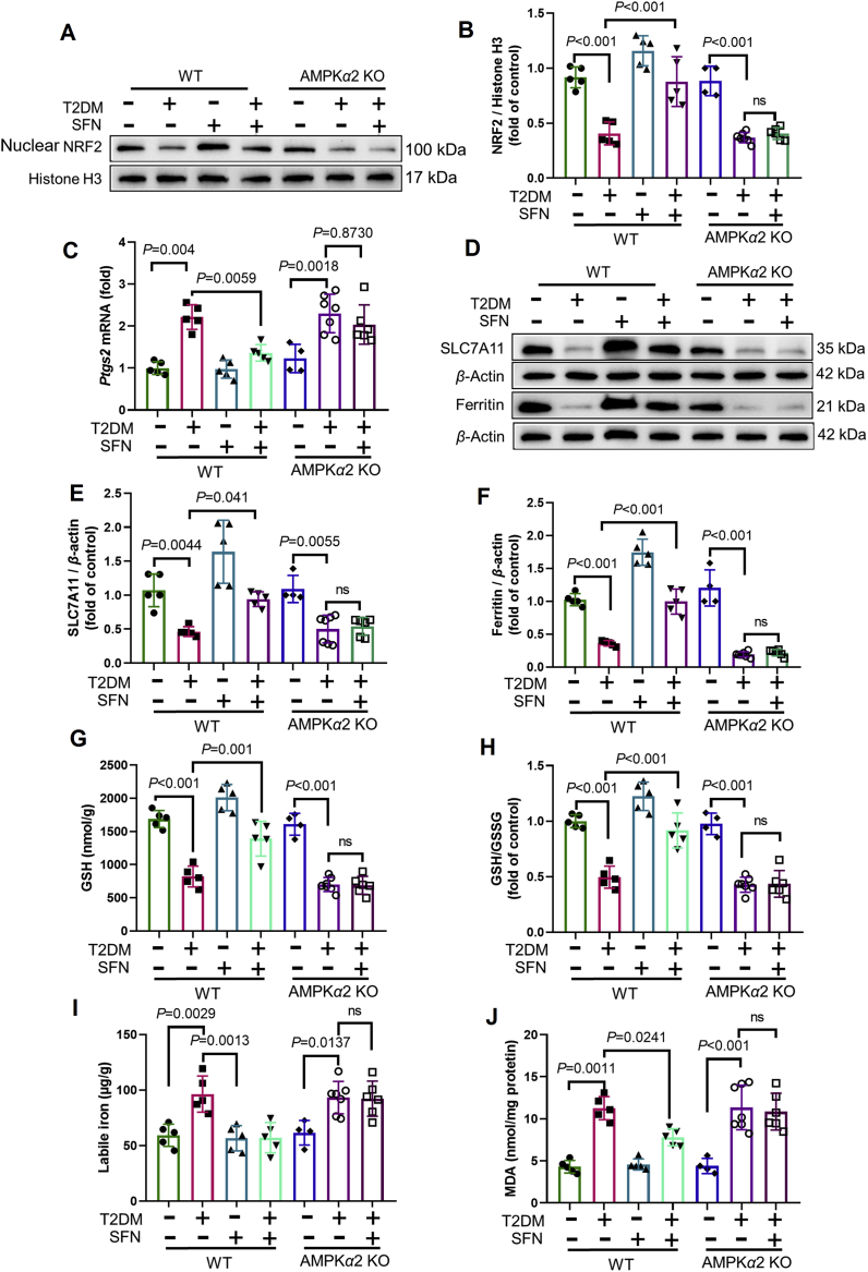 Figure 7