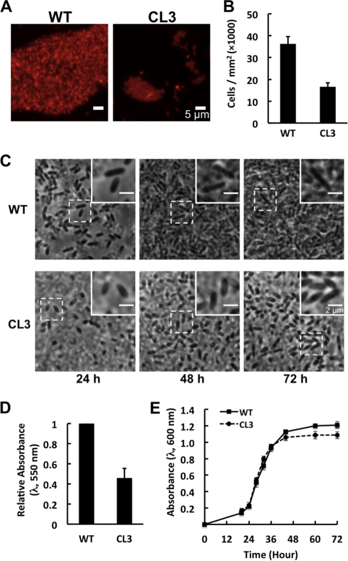 FIG 3