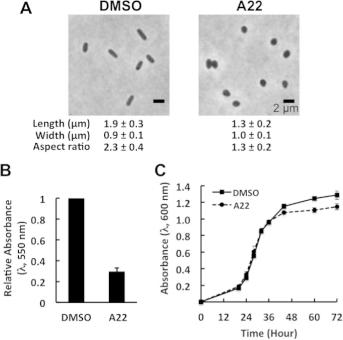 FIG 6