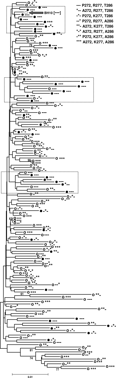 FIG. 7.