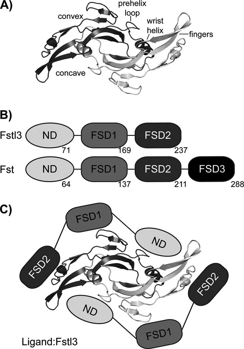 FIGURE 1.