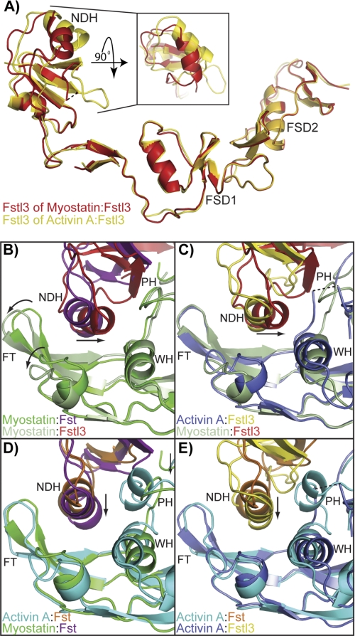 FIGURE 3.