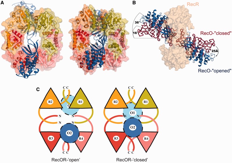 Figure 2.