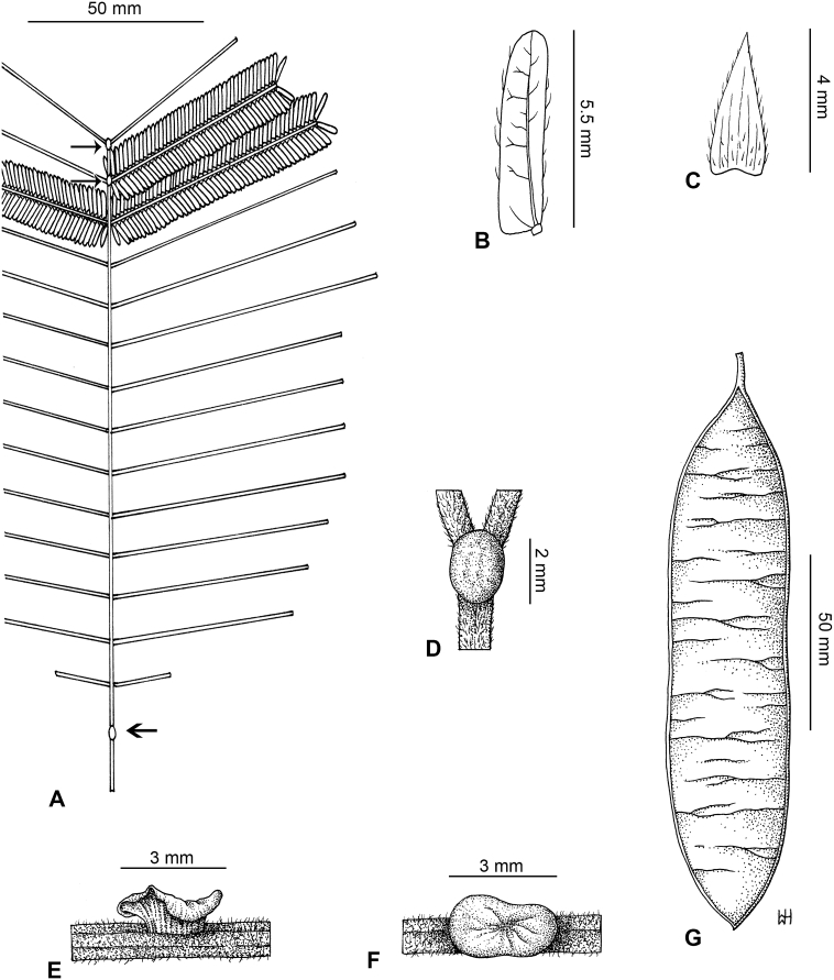 Fig. 12