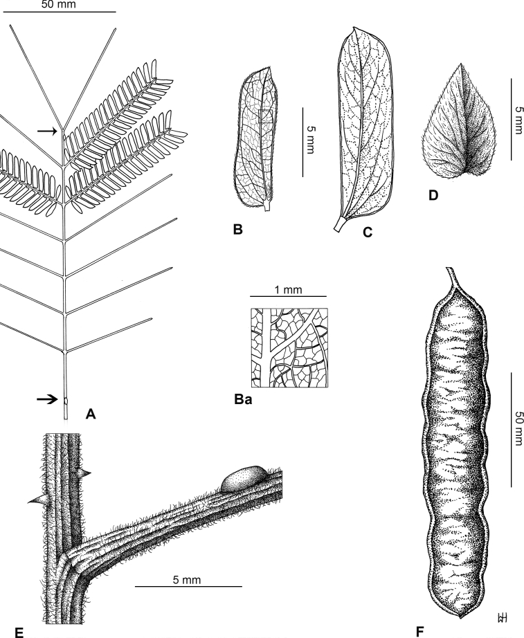 Fig. 44