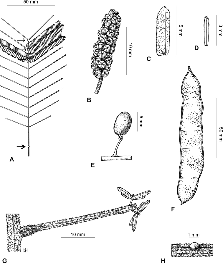 Fig. 56