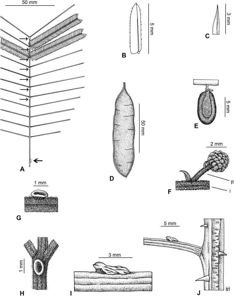 Fig. 17