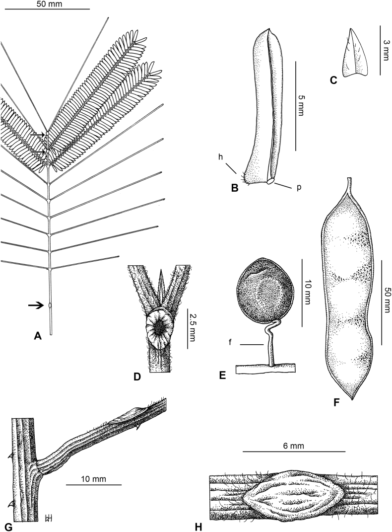 Fig. 15