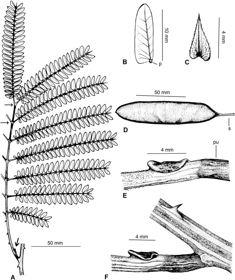 Fig. 3