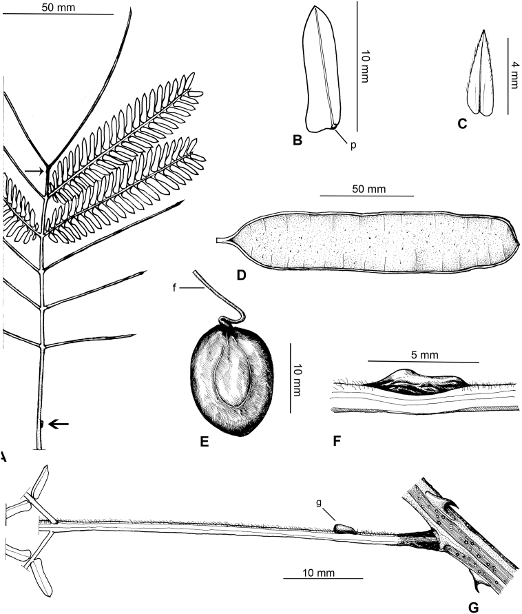 Fig. 22