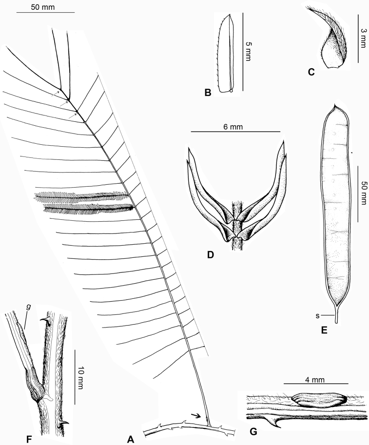 Fig. 35