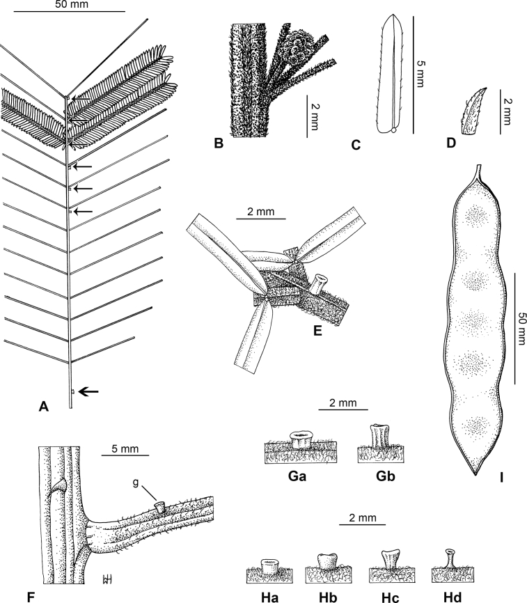 Fig. 47