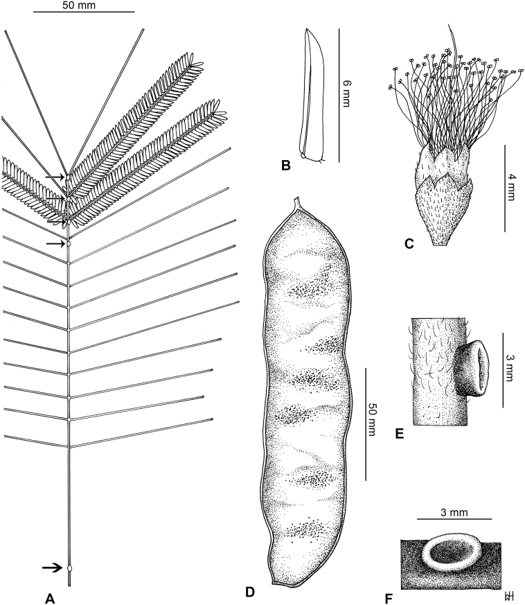 Fig. 25