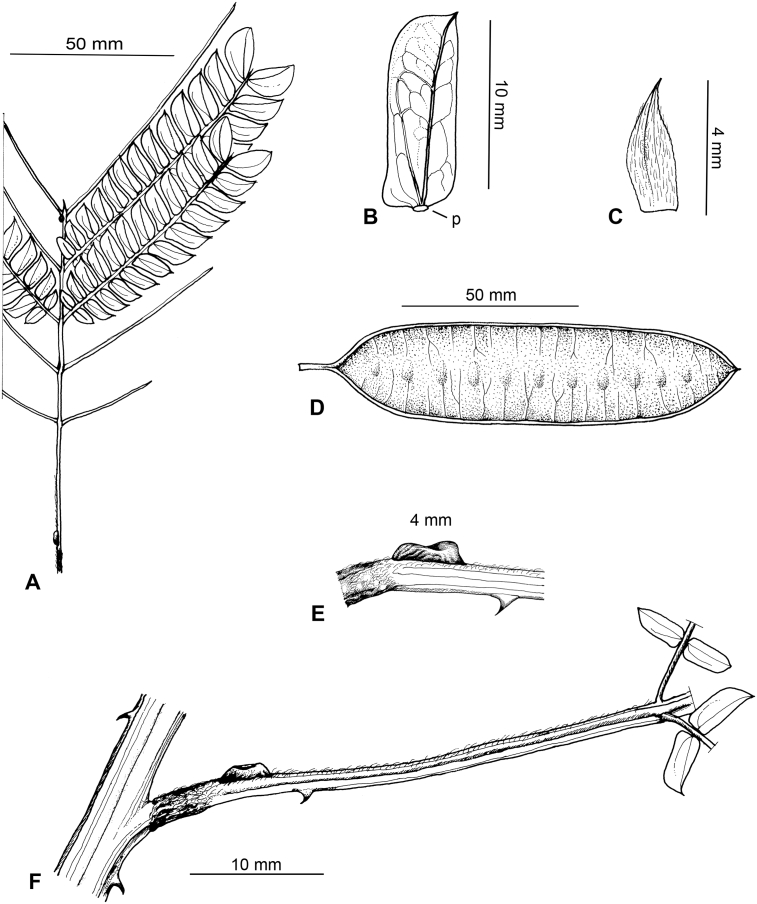 Fig. 5