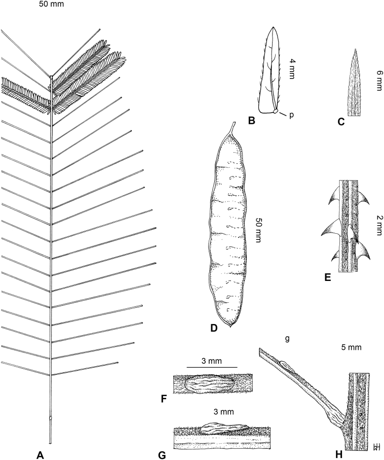 Fig. 7