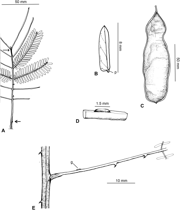 Fig. 10