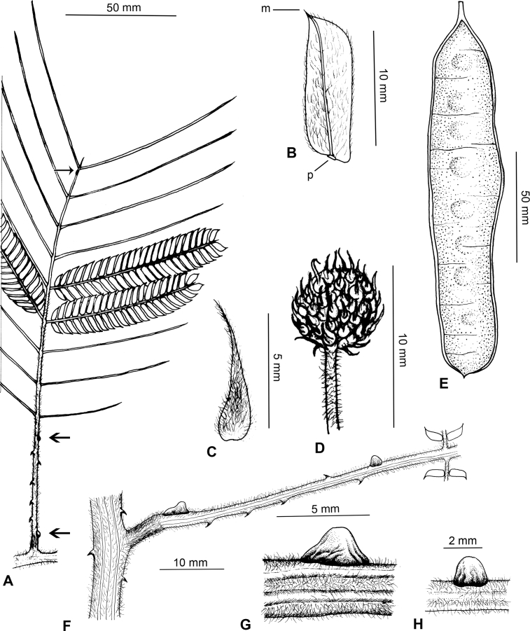 Fig. 53