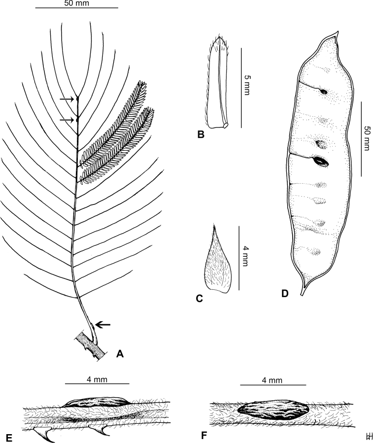 Fig. 33