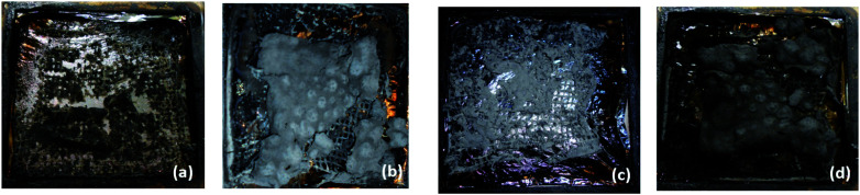 Fig. 12