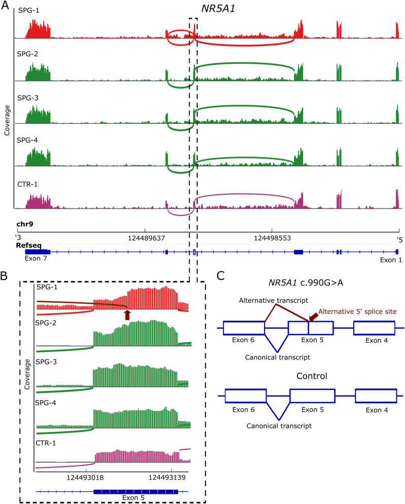 Figure 2.