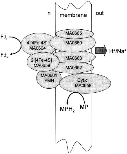 FIG. 4.