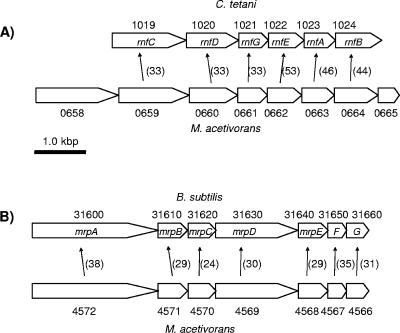 FIG. 3.