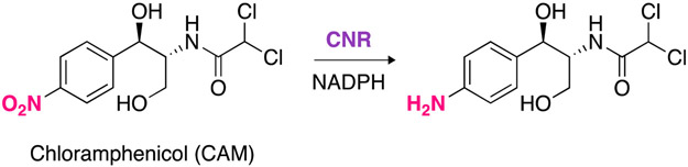 Scheme 1.