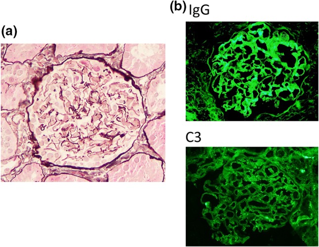 Fig. 1