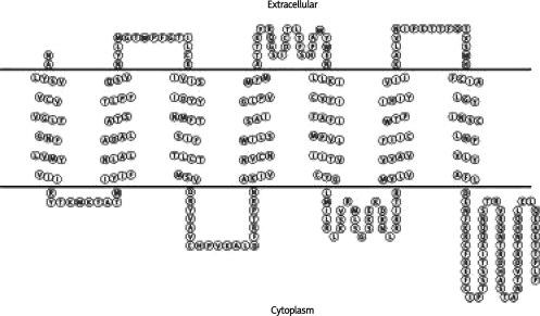 Figure 2B