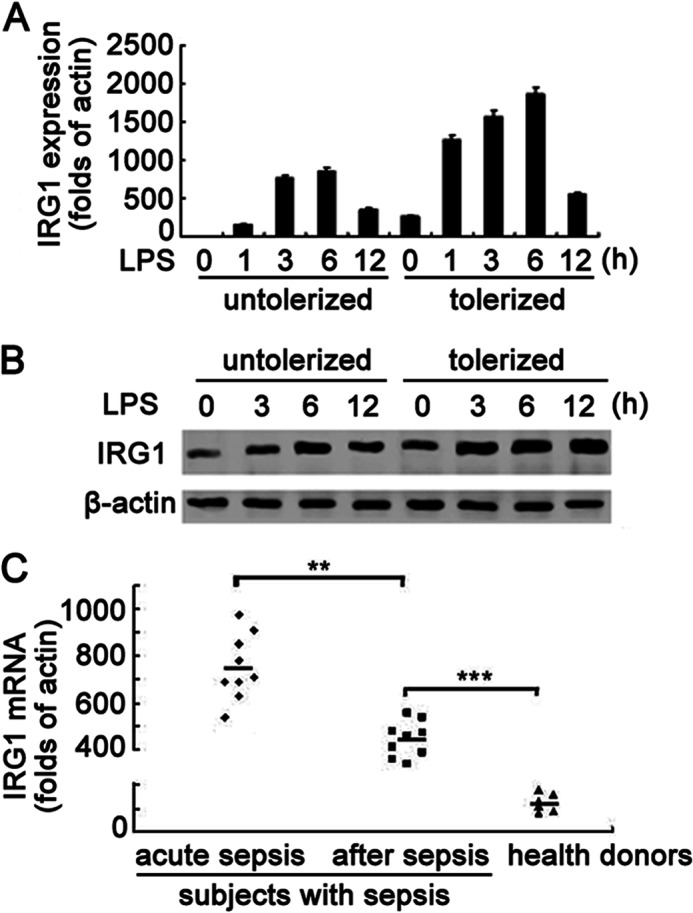 FIGURE 1.