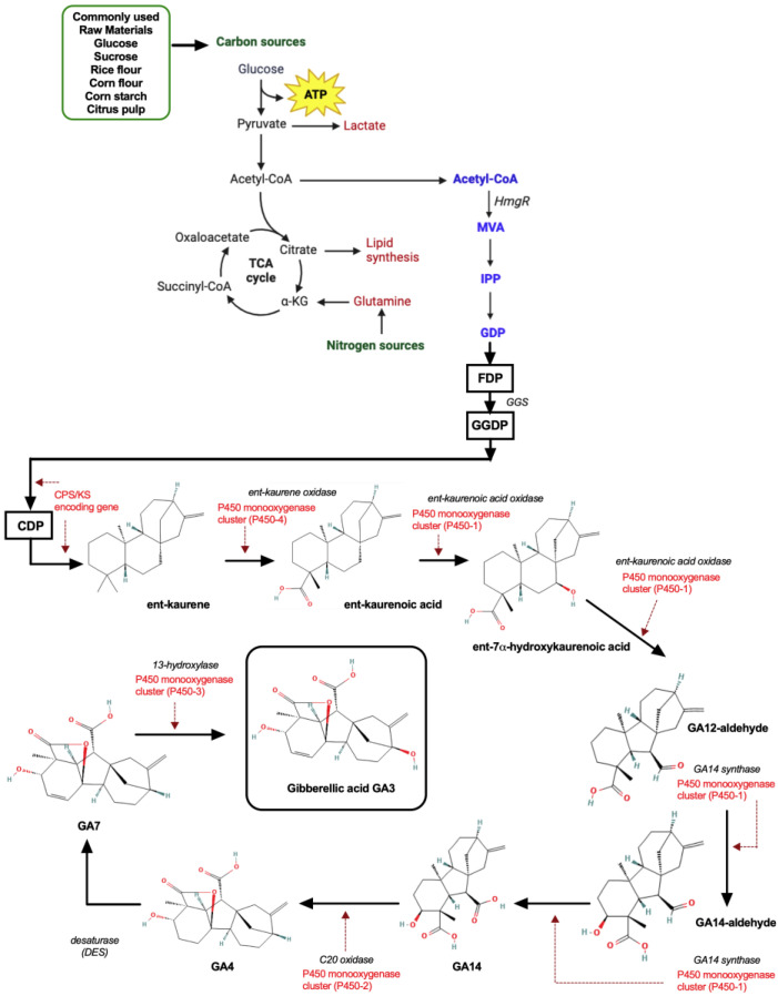 Figure 5