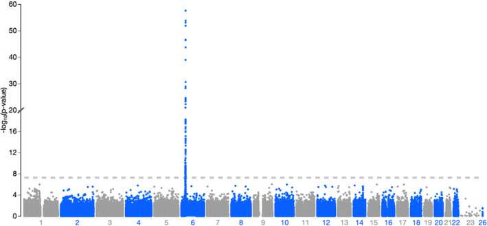 FIGURE 3