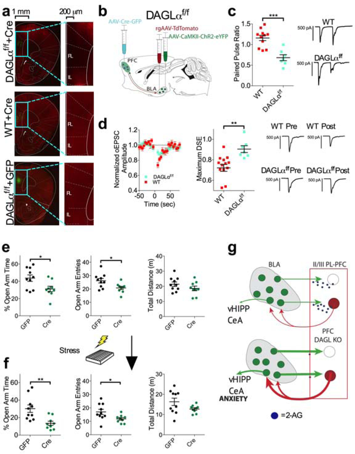 Figure 5: