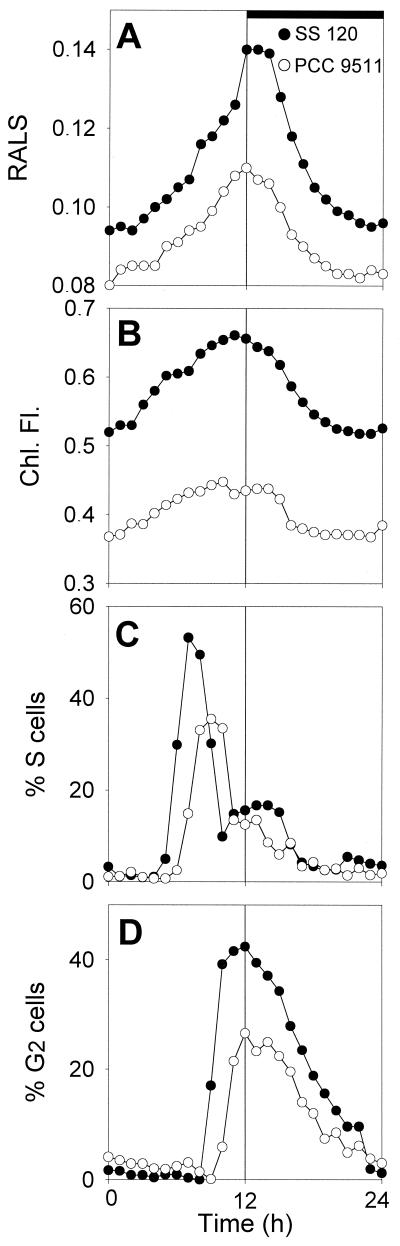 FIG. 1