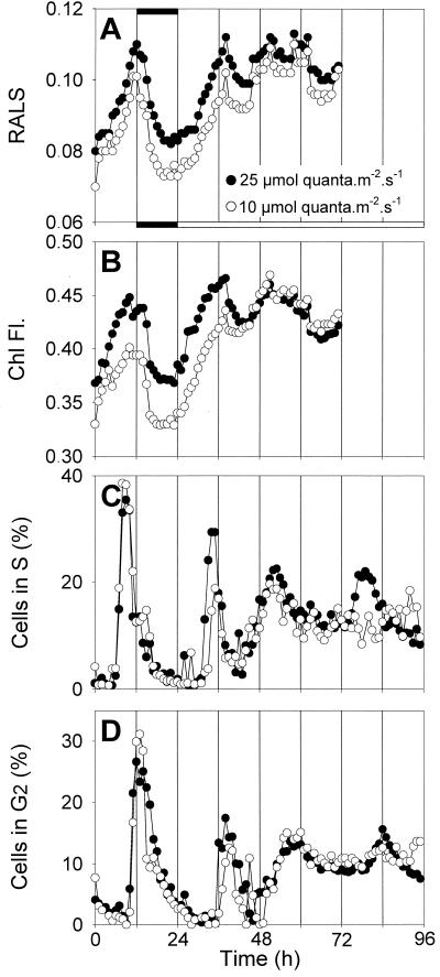 FIG. 3