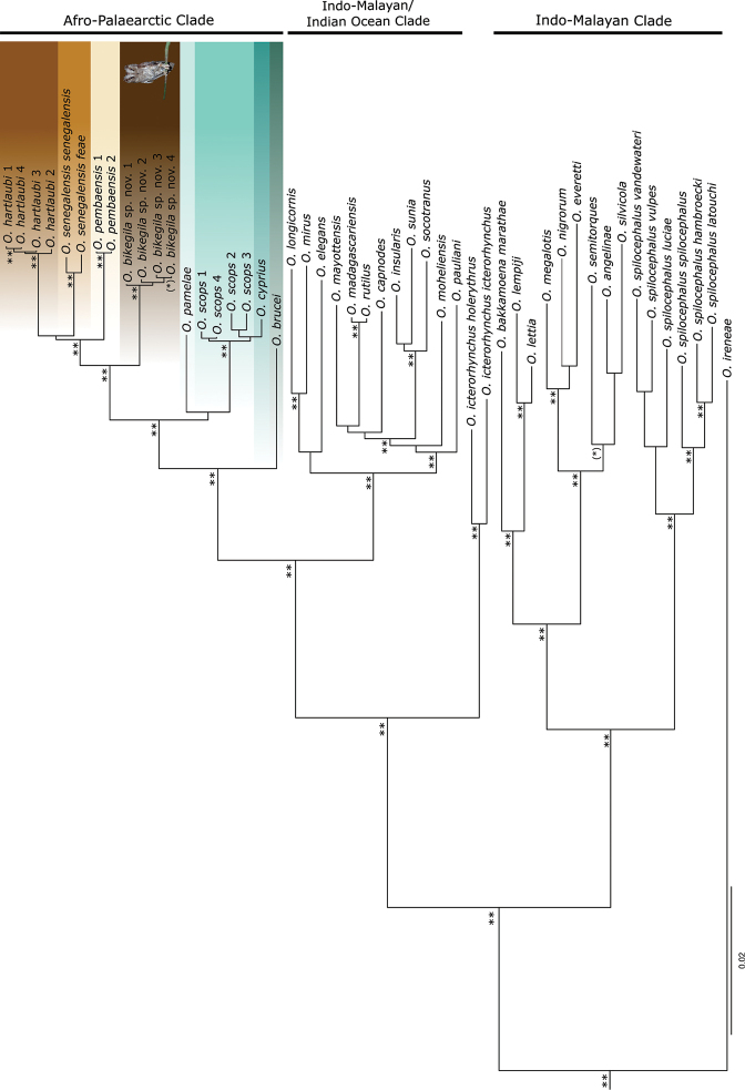 Figure 6.