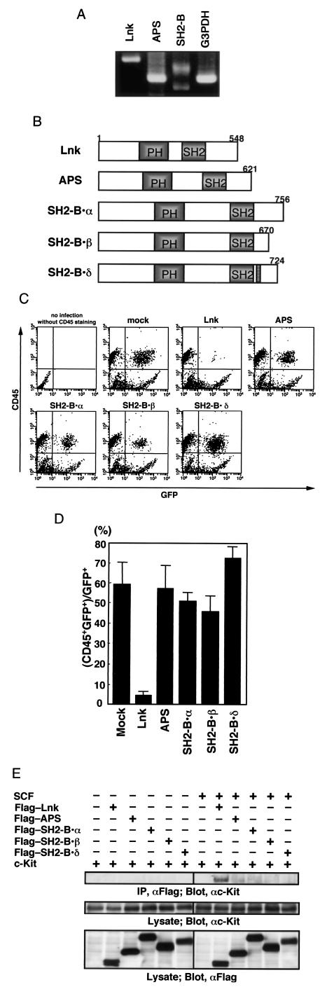 FIG.7.