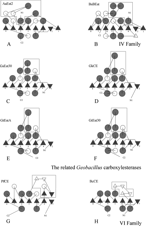 FIG. 6.