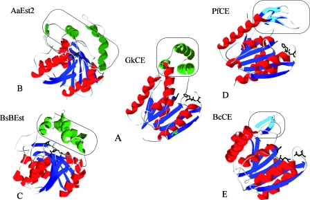 FIG. 5.