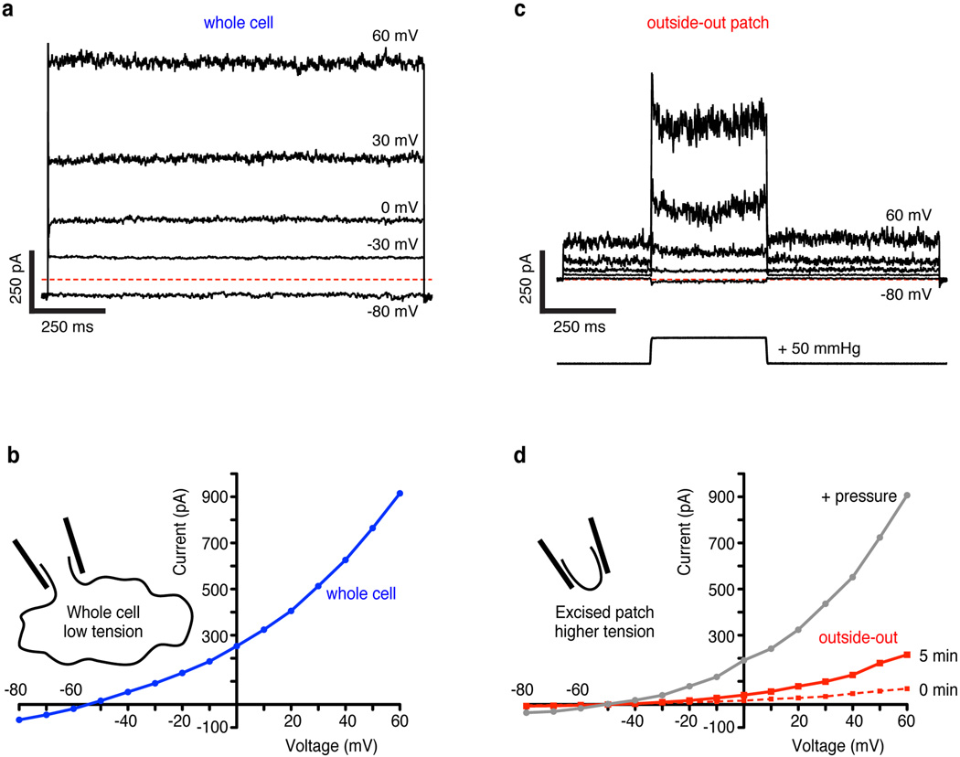 Extended Data Figure 4