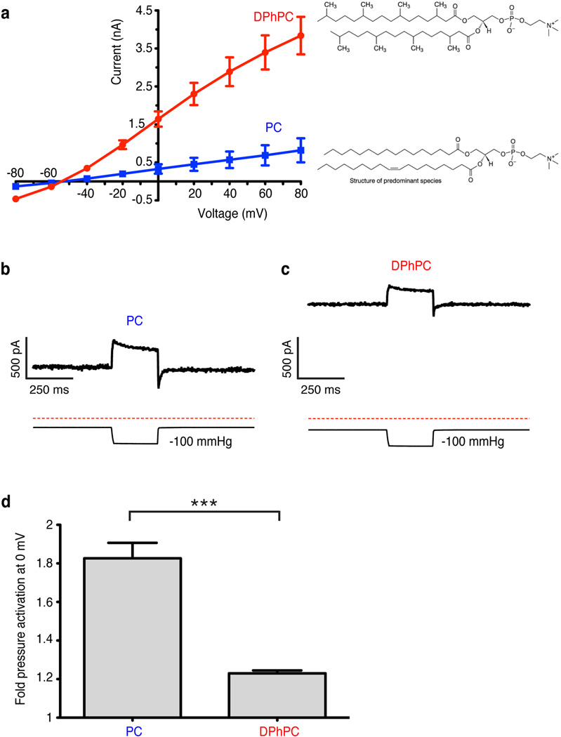 Extended Data Figure 2