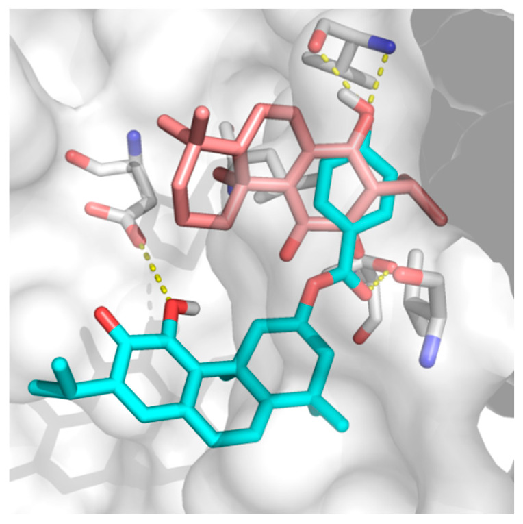 Figure 6