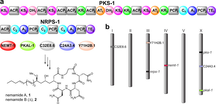 Fig. 1