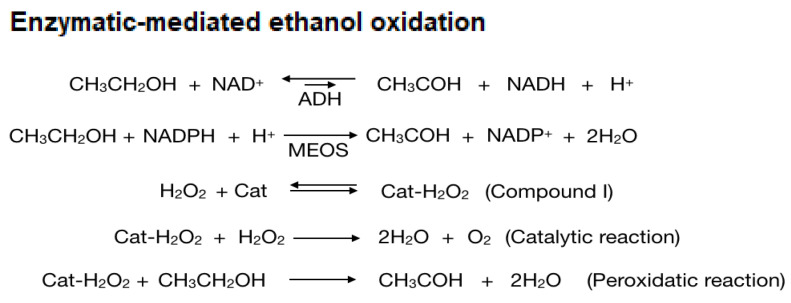 graphic file with name antioxidants-11-01258-i001.jpg