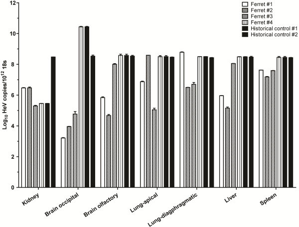 Figure 6