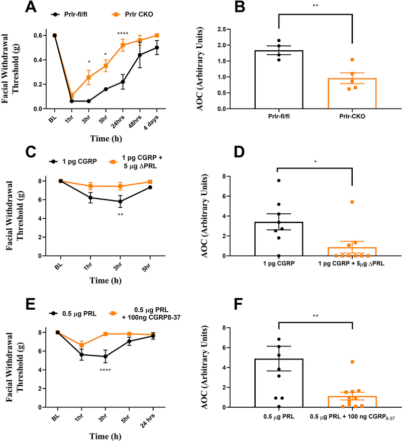 FIGURE 6: