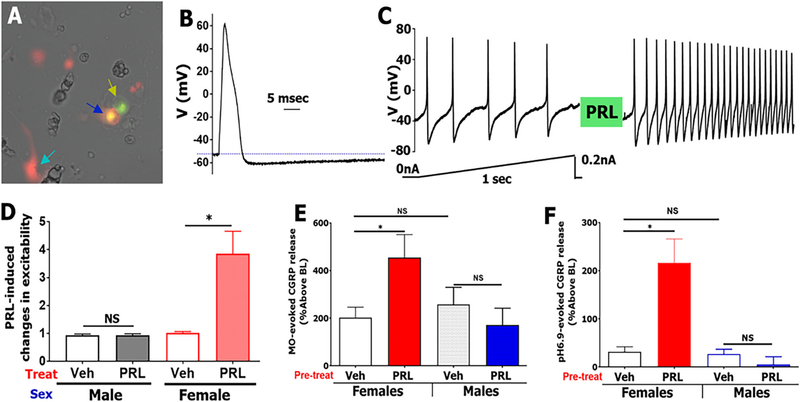 FIGURE 5: